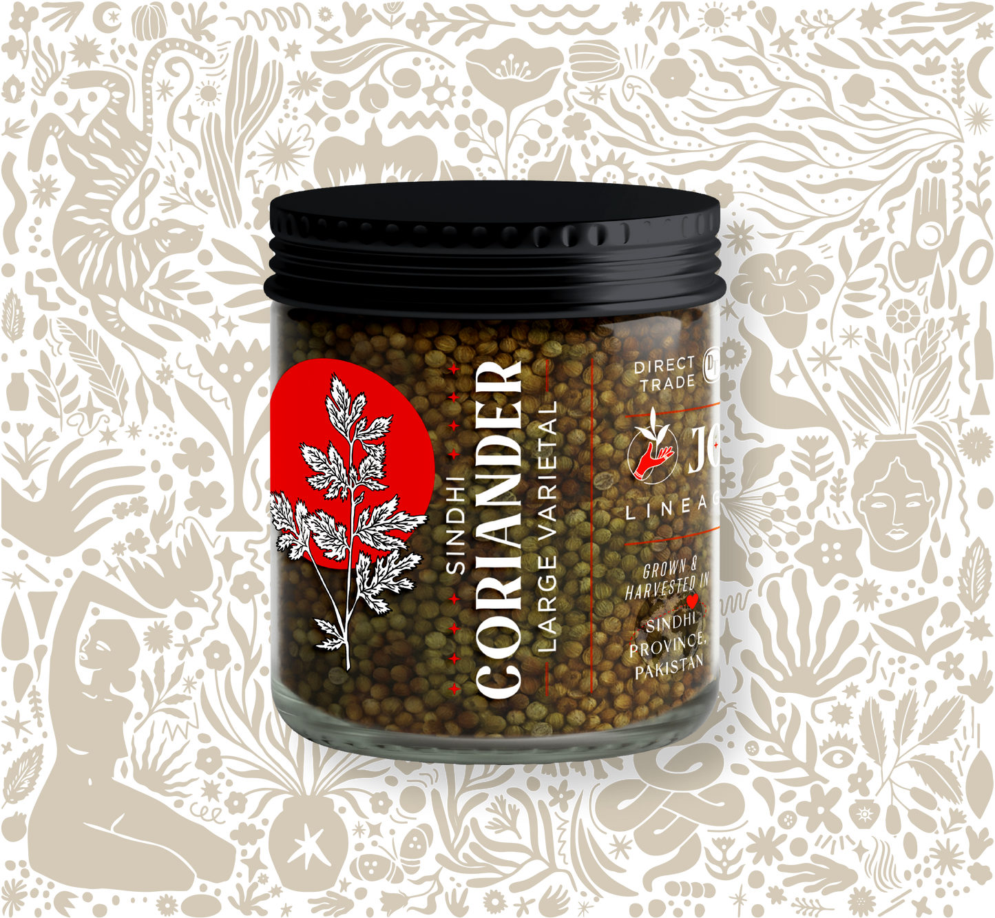 Large Varietal Sindhi Coriander